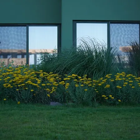 Отель Hvd Reina Del Mar - Premium Service & Free Parking