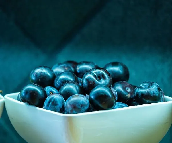 מלון Hvd Reina Del Mar - Premium Service & Free Parking